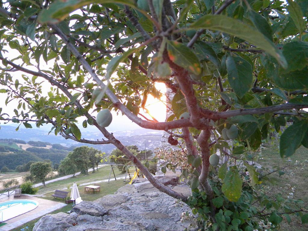 Agriturismo Borgo San Benedetto Villa Pietralunga  Exterior photo